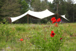 Natuurbegraafplaats Christinalust